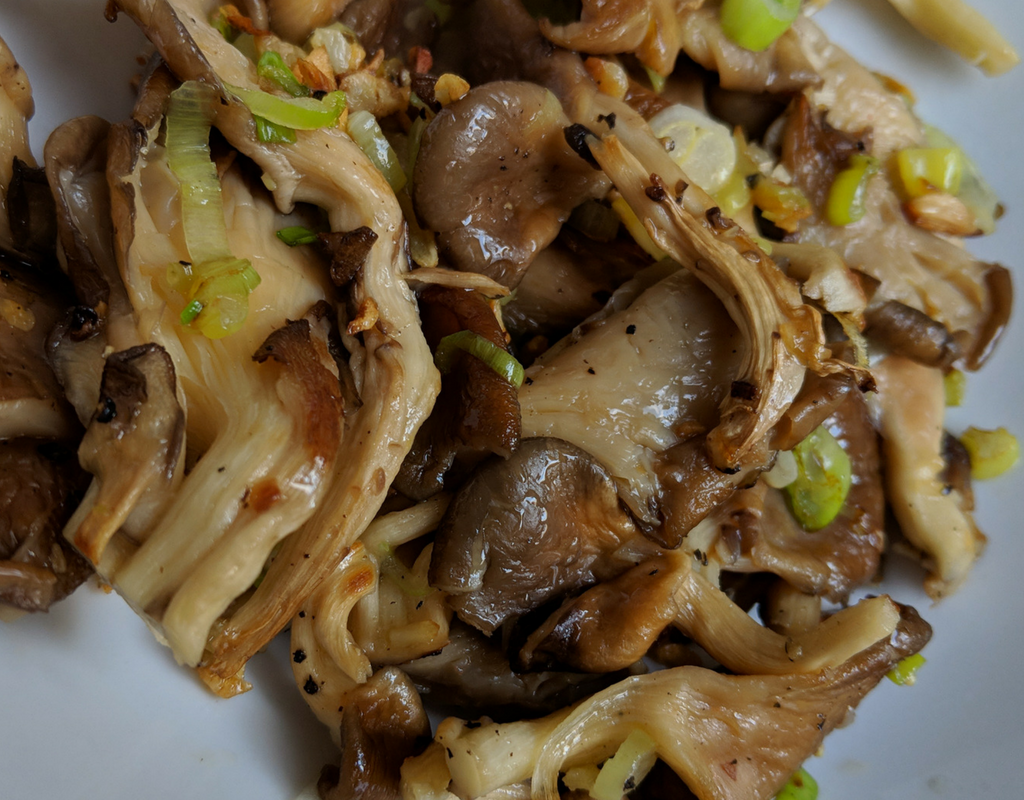 Oyster Mushroom with Garlic Recipe | How To Cook Oyster Mushrooms